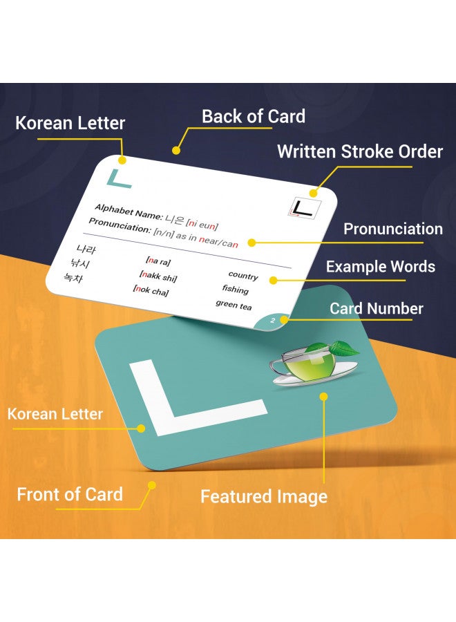 Briston 41 Korean Alphabet Hangul Flash Cards Educational Language Learning Resource with Pictures for Memory & Sight Words - Fun Game Play - Grade School, Classroom, or Homeschool Supplies Briston Brand  - Image 2