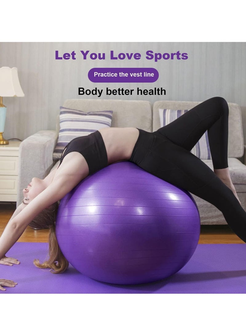 KASTWAVE كرة تمارين رياضية 65 سم كرة سويسرية سميكة للغاية | مع مضخة سريعة - كرة ولادة - يوغا - بيلاتيس - لياقة بدنية - علاج طبيعي - الحمل والولادة - Image 3