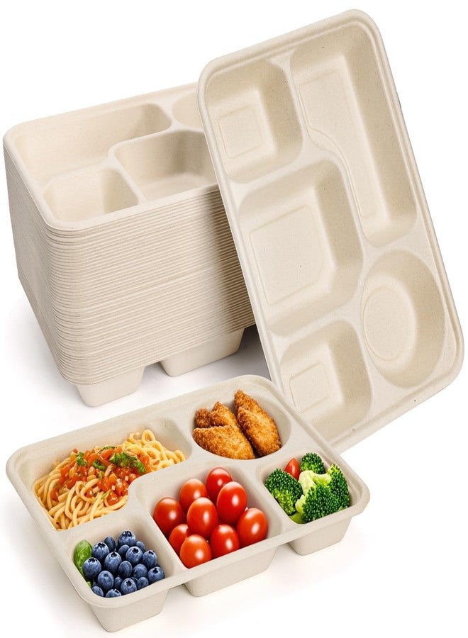 Hacaroa 50 Pack 5 Compartment Paper Plates Disposable, 11" x 8" Compostable Bagasse Plate School Lunch Trays, Biodegradable Divided Sugarcane Plates for Party, Picnic, Heavy Duty - Image 1