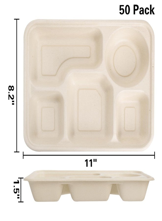 Hacaroa 50 Pack 5 Compartment Paper Plates Disposable, 11" x 8" Compostable Bagasse Plate School Lunch Trays, Biodegradable Divided Sugarcane Plates for Party, Picnic, Heavy Duty - Image 2