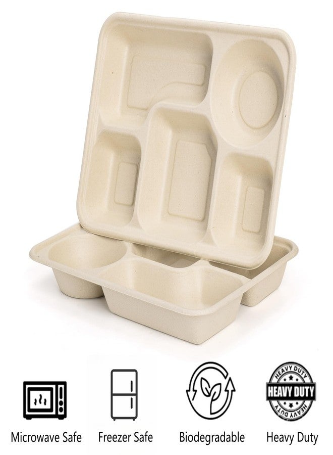 Hacaroa 50 Pack 5 Compartment Paper Plates Disposable, 11" x 8" Compostable Bagasse Plate School Lunch Trays, Biodegradable Divided Sugarcane Plates for Party, Picnic, Heavy Duty - Image 3