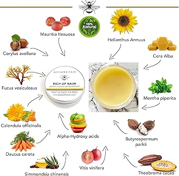BEES of BRITAIN بلسم شفاه طبيعي 100% زبدة الشيا والكاكاو وشمع العسل بالنعناع - يصلح ويرطب - نتبرع بـ 5% من أرباحنا لإنقاذ النحل - 30 مل - Image 2