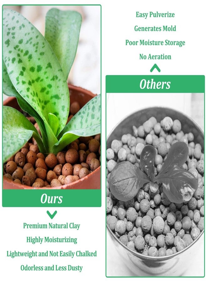 Riare حبيبات طينية عضوية موسعة من رياري للنباتات، كرات ليكا طبيعية، حبيبات طينية خفيفة الوزن للزراعة المائية (7 لتر) - Image 4