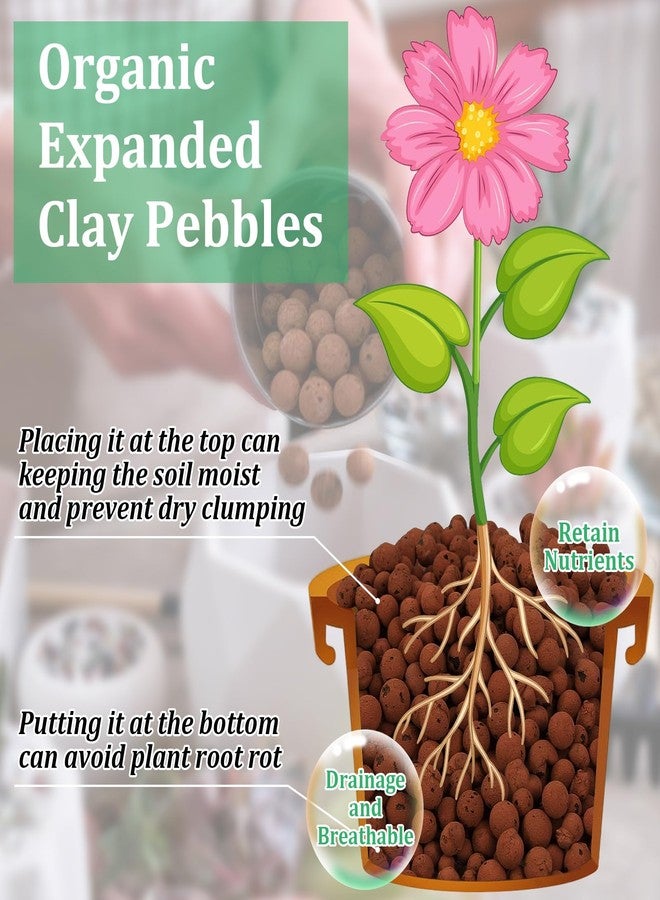 Riare حبيبات طينية عضوية موسعة من رياري للنباتات، كرات ليكا طبيعية، حبيبات طينية خفيفة الوزن للزراعة المائية (7 لتر) - Image 3