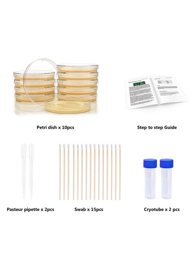Bacteria Science Kit Petri Dishes With Agar And Swabs ; Top Science Fair Project Bacteria Growing Kit ; Prepoured Lbagar Plates And Cotton Swabs ; Stem For Kids Aged 6 7 8 9 10 Girls Boys Gifts