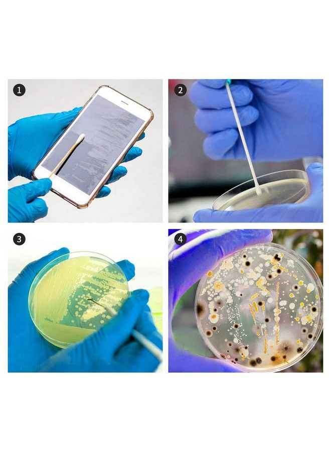 Bacteria Science Kit Petri Dishes With Agar And Swabs ; Top Science Fair Project Bacteria Growing Kit ; Prepoured Lbagar Plates And Cotton Swabs ; Stem For Kids Aged 6 7 8 9 10 Girls Boys Gifts