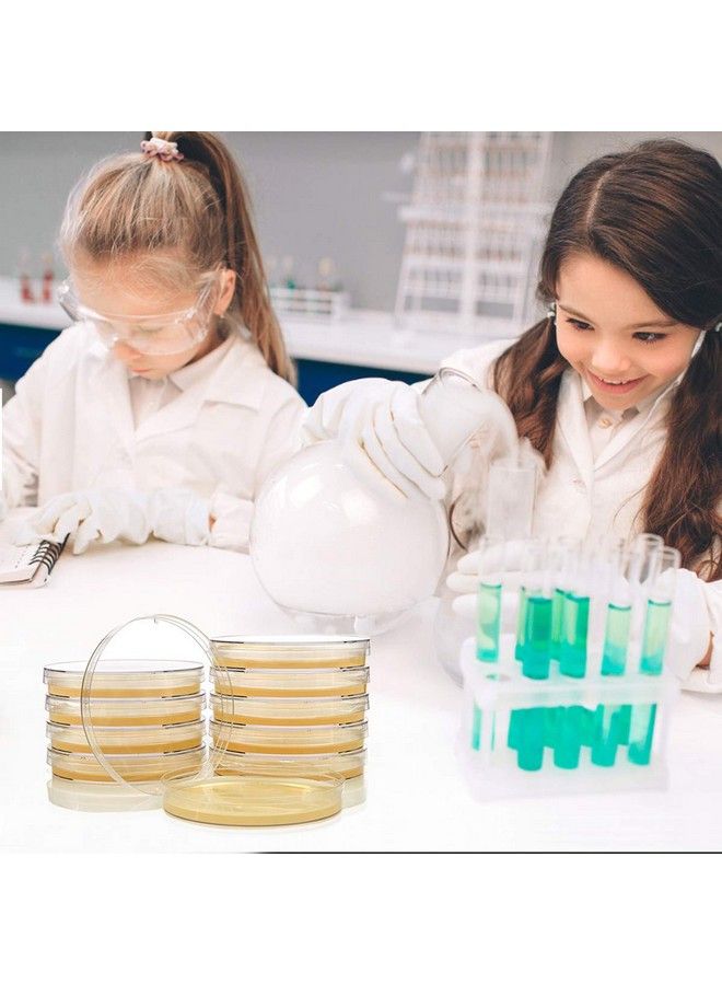 Bacteria Science Kit Petri Dishes With Agar And Swabs ; Top Science Fair Project Bacteria Growing Kit ; Prepoured Lbagar Plates And Cotton Swabs ; Stem For Kids Aged 6 7 8 9 10 Girls Boys Gifts