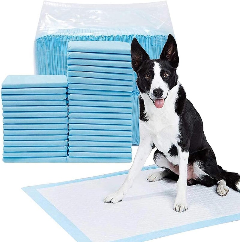 Pups&Pets وسادات تدريب الكلاب / وسادات تدريب التبول والتبرز ذات سطح سريع الجفاف ولبّ امتصاصي / مناسبة لجراء السلالات الصغيرة والكبيرة / المقاس: XL/L - 60 سم × 45 سم (10 قطع) - Image 1