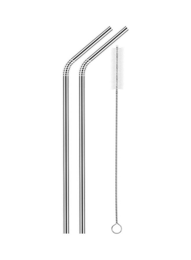 NIBEMINENT Stainless Steel Straw Silver - Image 1