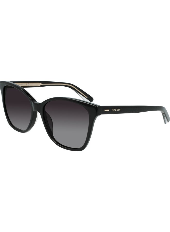 CALVIN KLEIN FULL RIM ACETATE MODIFIED RECTANGLE CALVIN KLEIN SUN CK21529S N 5516 (001) BLACK - Image 2