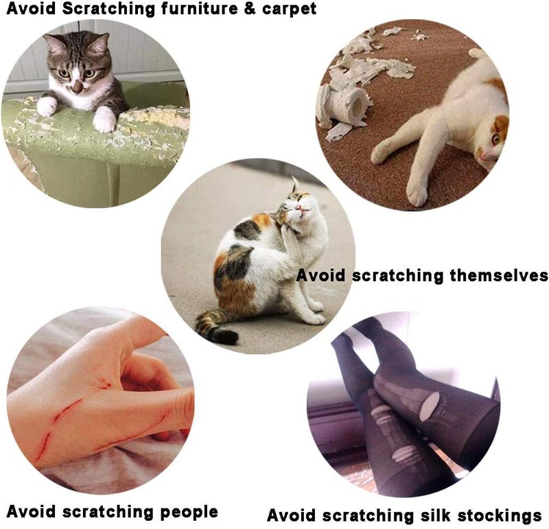 YMCCOOL 100pcs Cat Nail Caps/Tips Pet Cat Kitten Paws Covers Control Paws of 10 Nails Caps and 5Pcs Adhesive Glue 5 Applicator with Instruction - Image 4