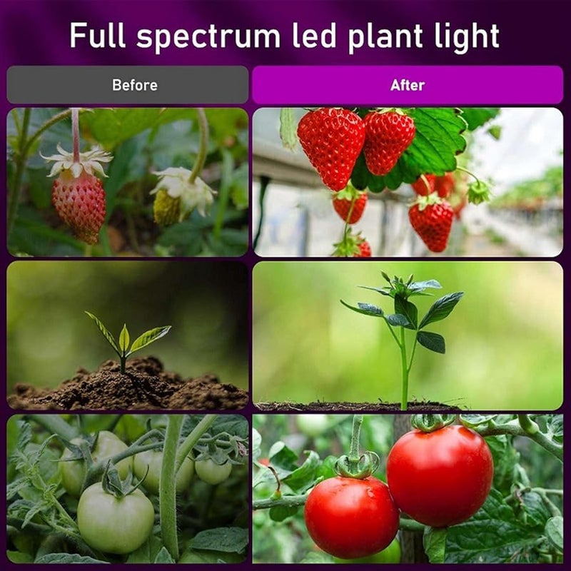 Full Spectrum Plant Grow Light 10W Black 72 Beads With Timer And 10 Level Dimming - Image 5