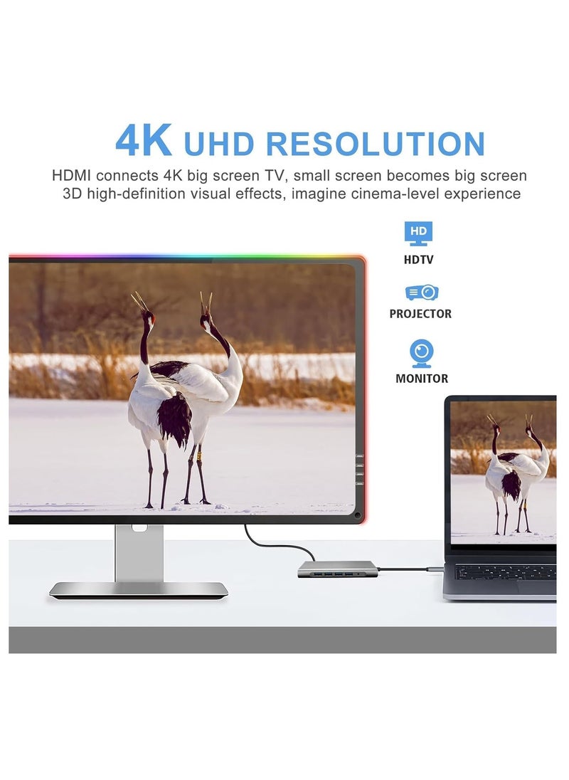 TIGER - 12-in-1 USB C Hub Docking Station with 4K HDMI, VGA, USB 3.0, Ethernet, SD/TF Card Reader, and More – Multiport Adapter for MacBook Pro, MacBook Air & Type-C Devices – Expand Connectivity, Power Delivery, High-Speed Data Transfer, and Versatile Functionality - Image 1
