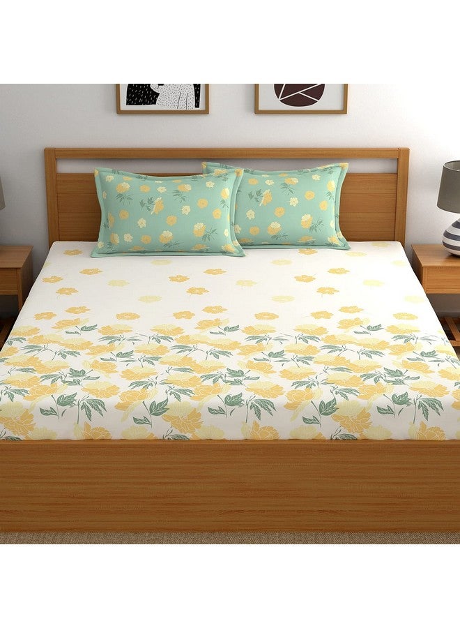 Dreamscape 100% Cotton King Fitted Bedsheet with 2 Pillow Covers - (Size 72 x 78 inches, 140 TC, Colour - Beige) - Image 2