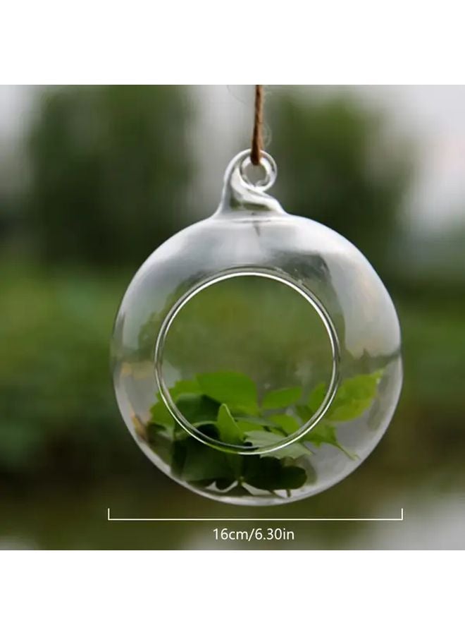 3.15 Inch Glass Hanging Ball Spherical Pendant Miniature Succulent Moss Hydroponic Vase - Image 3