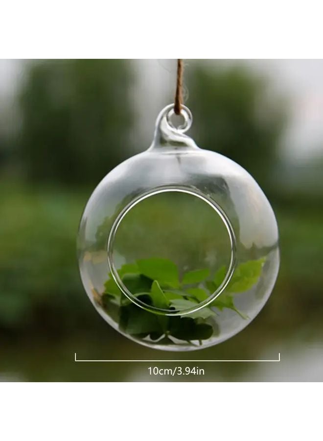 3.15 Inch Glass Hanging Ball Spherical Pendant Miniature Succulent Moss Hydroponic Vase - Image 2