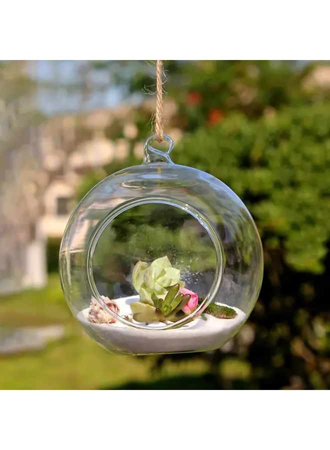 3.15 Inch Glass Hanging Ball Spherical Pendant Miniature Succulent Moss Hydroponic Vase - Image 5