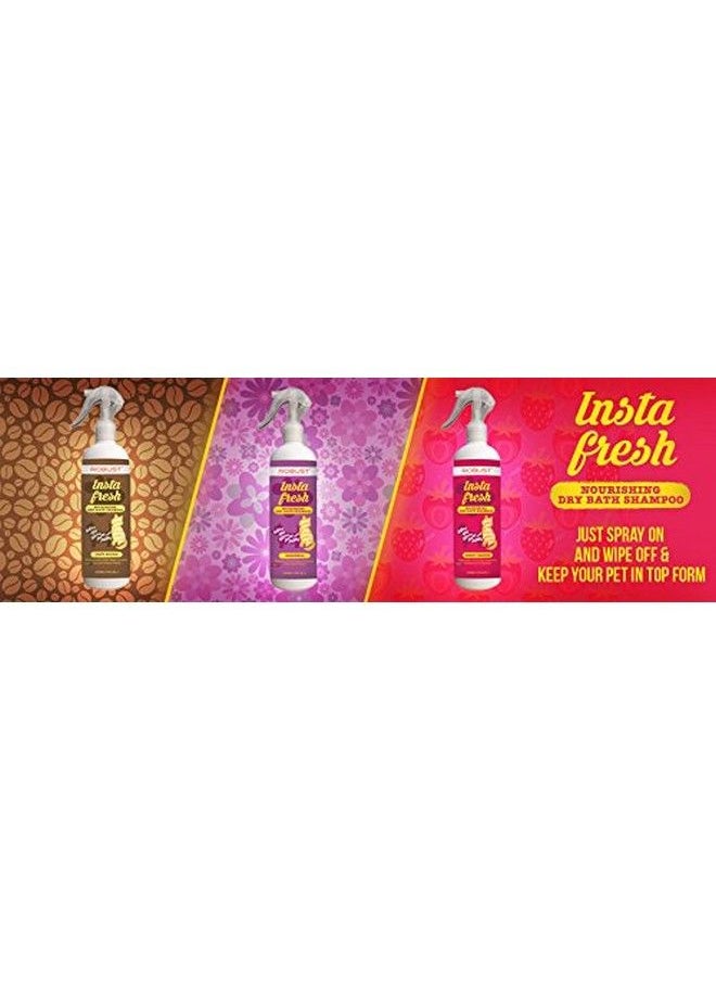 Instafresh (Nourishing Dry Bath Shampoo) : Berry Breeze 250 Ml - pzsku/ZBA4CA197140736A189A8Z/45/_/1682331966/00adc36c-c648-4d41-92fe-70f8a4fa60b5