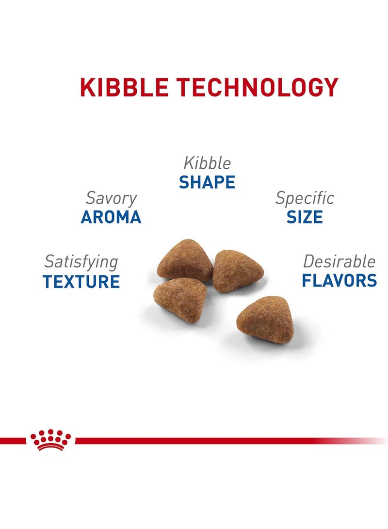 ROYAL CANIN طعام القطط الجاف للبالغين من رويال كانين للصحة الغذائية للقطط الداخلية، 7 باوند - Image 2