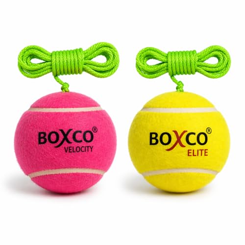 BOXCO Hanging Cricket Practice Balls Set of 2 | Medium & Light Weight Combo | Tennis Cricket Training Ball | Improves Batting Timing & Accuracy - Image 1