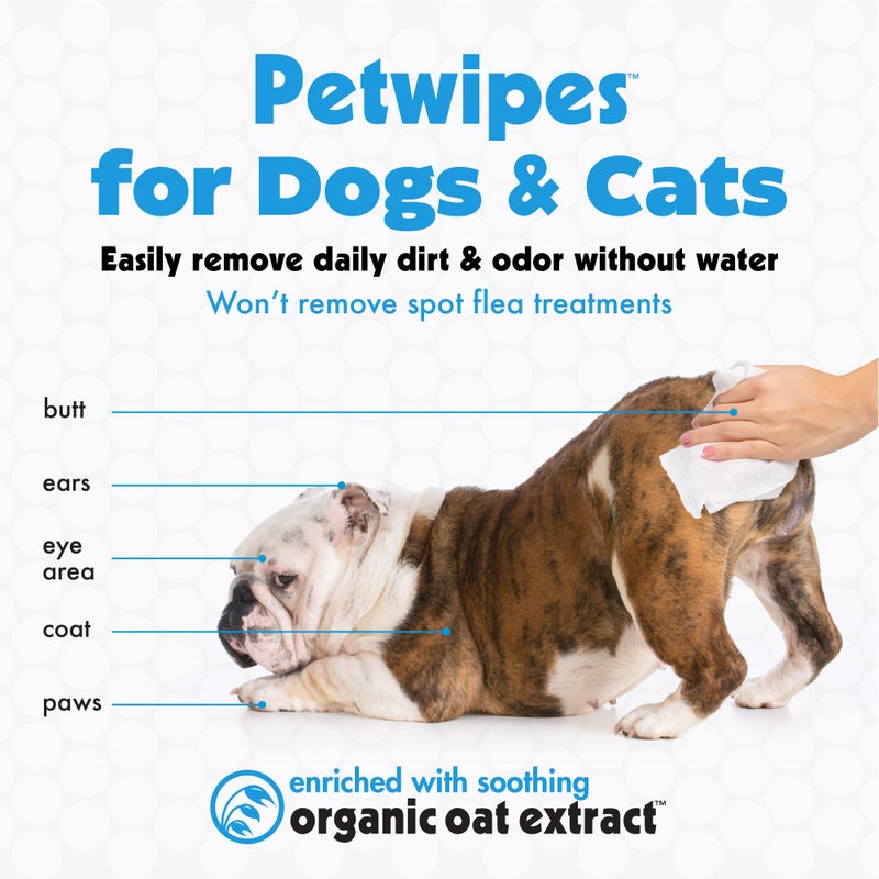 Petkin Pet Wipes for Dogs and Cats, 400 Wipes - Large Pet Wipes for Dogs and Cats - Cleans Ears, Face, Butt, Body and Eye Area - Convenient, Ideal for Home or Travel - 4 Packs of 100 Wipes - Image 3