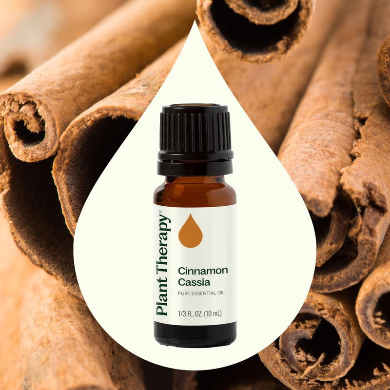 Plant Therapy Cinnamon Cassia Essential Oil 10 mL (1/3 oz) 100% Pure, Undiluted, Therapeutic Grade - Image 3