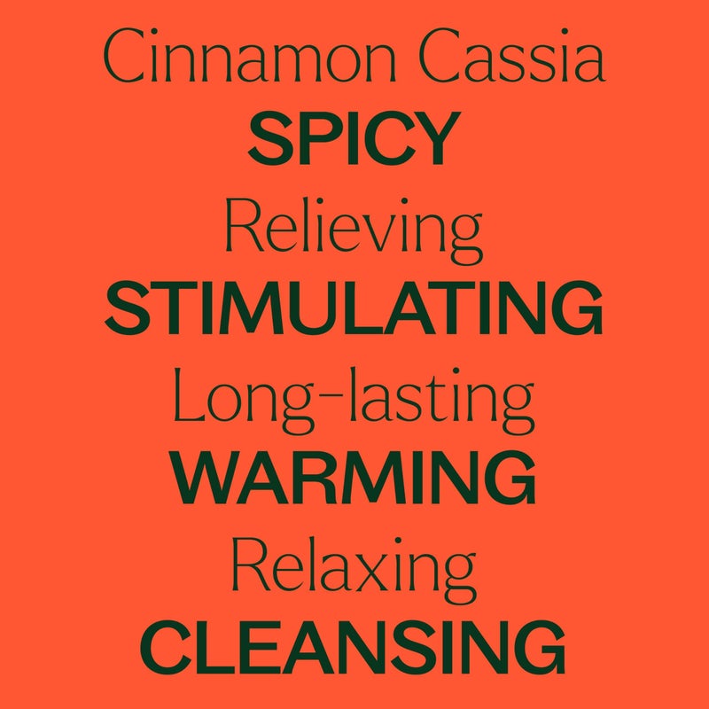 Plant Therapy Cinnamon Cassia Essential Oil 10 mL (1/3 oz) 100% Pure, Undiluted, Therapeutic Grade - Image 4