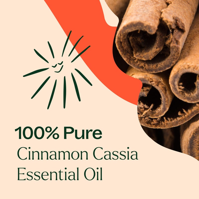 Plant Therapy Cinnamon Cassia Essential Oil 10 mL (1/3 oz) 100% Pure, Undiluted, Therapeutic Grade - Image 5