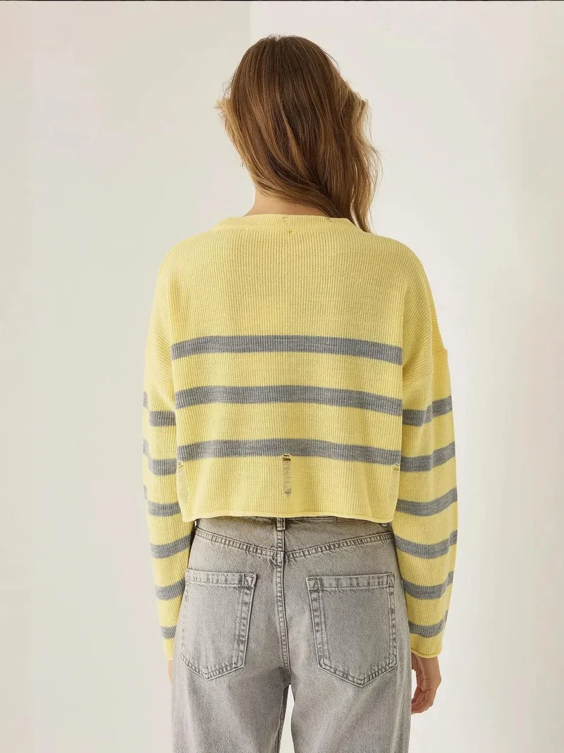 Hiccup Lemon Yellow Striped Crew Neck Sweater for Women | Best Price UAE
