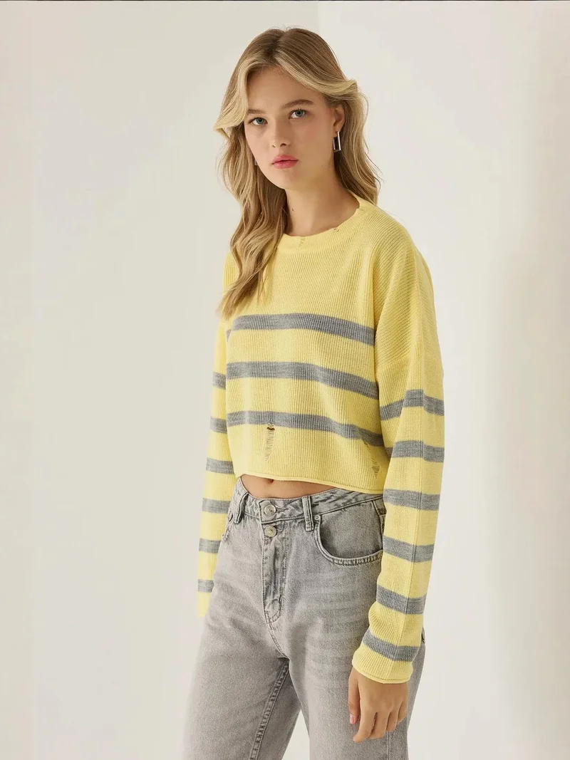 Hiccup Lemon Yellow Striped Crew Neck Sweater for Women | Best Price UAE
