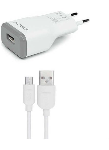 Eu-39-Samsung Galaxy J1 Mini Prime Compatible 2.0 Ampere Charger with Micro USB Port + Cable Charger - J15 - pzsku/ZBA4FF66A0BD6A9AA138EZ/45/_/1730550686/921c1da2-bdda-4243-afa7-1732c81f9a19