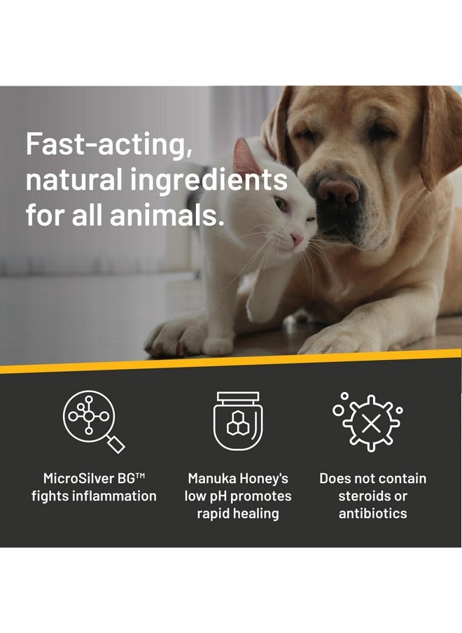 Absorbine - Silver Honey Hot Spot & Wound Care Spray Gel 8Oz Bottle, Manuka Honey & Microsilver Bg, Medicated For Dogs, Cats, Small Animals - Image 1