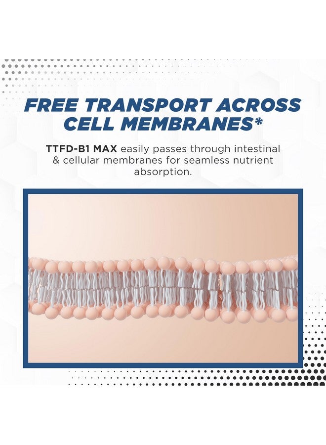 MAXLIFE NATURALS TTFD Thiamine B1 Supplement 60Capsules Made in USA- Thiamine TTFD Vitamin B1 MAX, High-Potency Supplement for Energy & Focus, Supports Healthy Nerve Function & Overall Wellness by MaxLife Naturals - Image 3