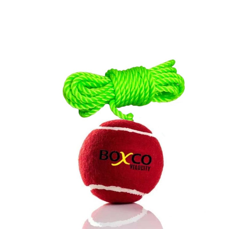 BOXCO كرة تنس كريكيت معلقة بوزن ثقيل من فيلوسيتي للتدريب والممارسة، كرة كريكيت معلقة للتدريب الداخلي/الخارجي (ماروني، عبوة من 1) - Image 1