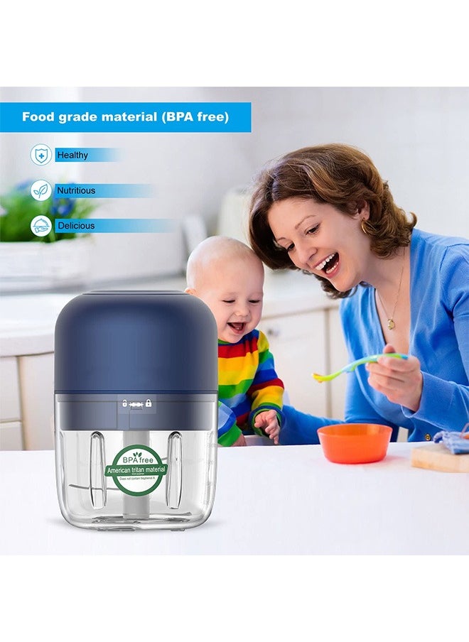 LEXIN - Baby Food Machine, Mini Garlic Stirrer-Electric Small Food Processor With Type-C USB Rechargeable And Spoon(Blue，250ml) - Image 1