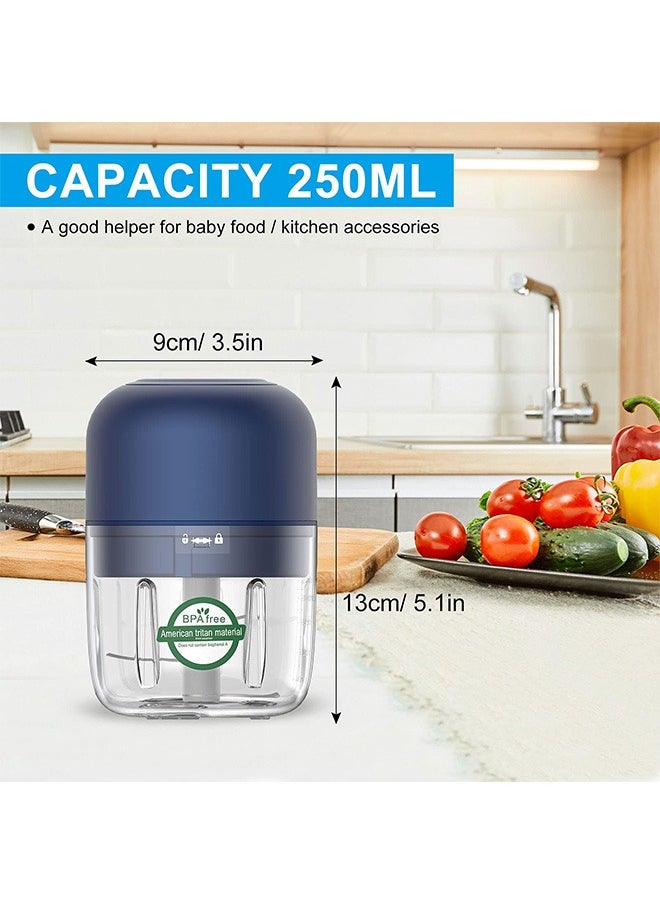 LEXIN - Baby Food Machine, Mini Garlic Stirrer-Electric Small Food Processor With Type-C USB Rechargeable And Spoon(Blue，250ml) - Image 1