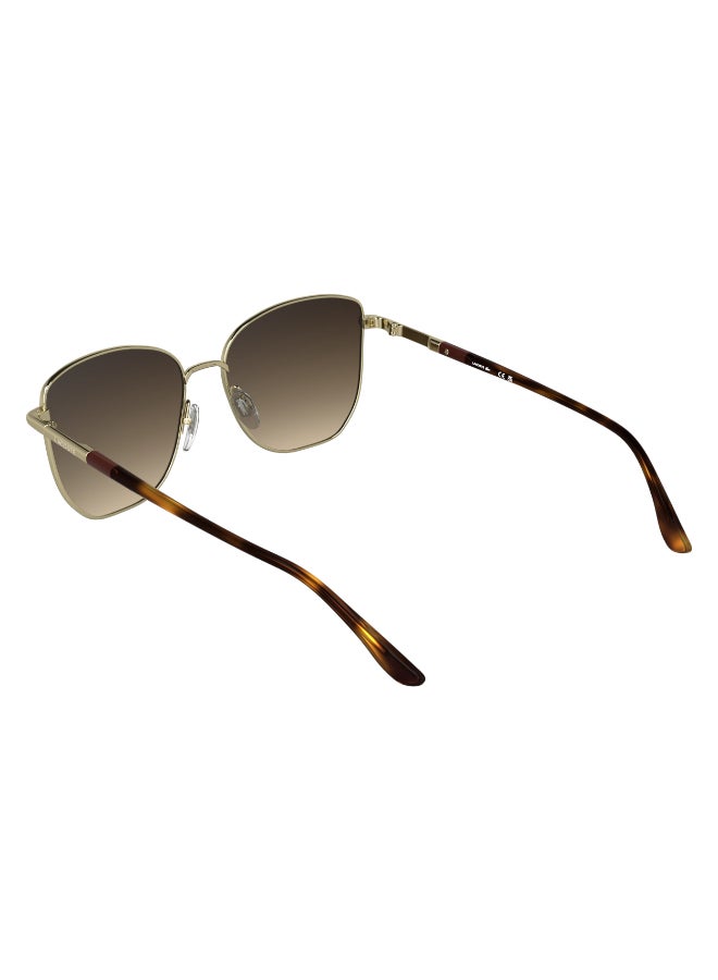 LACOSTE FULL RIM METAL LACOSTE SUNS L276S 5616 (714) GOLD - Image 2