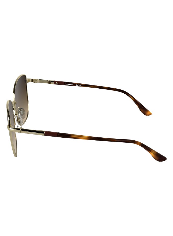 LACOSTE FULL RIM METAL LACOSTE SUNS L276S 5616 (714) GOLD - Image 1