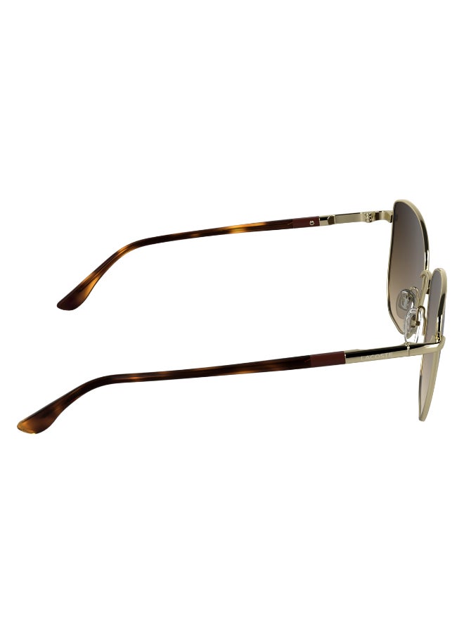 LACOSTE FULL RIM METAL LACOSTE SUNS L276S 5616 (714) GOLD - Image 5