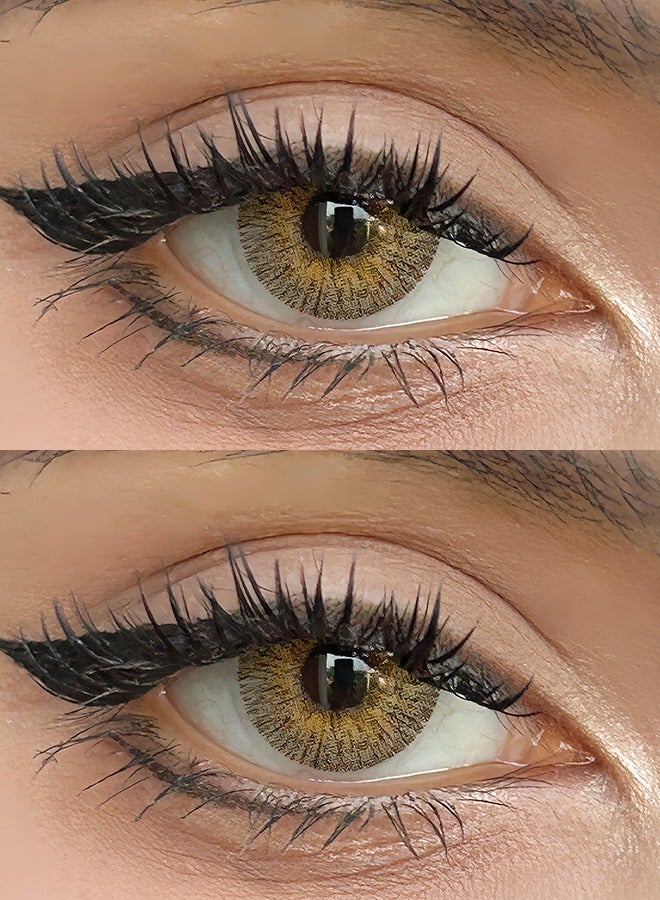 سيدة جديدة عدسات لاصقة ملونة بنية من فريش ليدي للاستخدام السنوي - Image 2