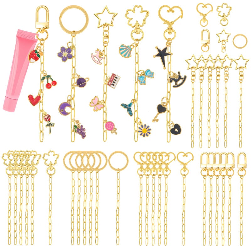 Ecoofor 50 Set Keychain Making Kit, 5 Style Metal Keychain Clips with Swivel Snap Hooks, Lobster Clasps, Key Rings & Extender Chains for DIY Crafts, Jewelry, Bags, Keychains & Gift Accessories - Image 1