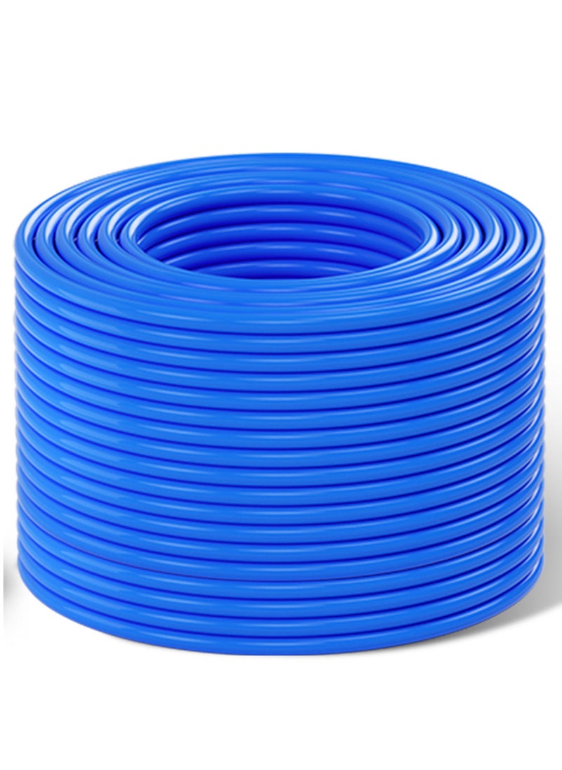 Stargold - CAT6 Cable High Speed Internet LAN Cable 100M - Image 1