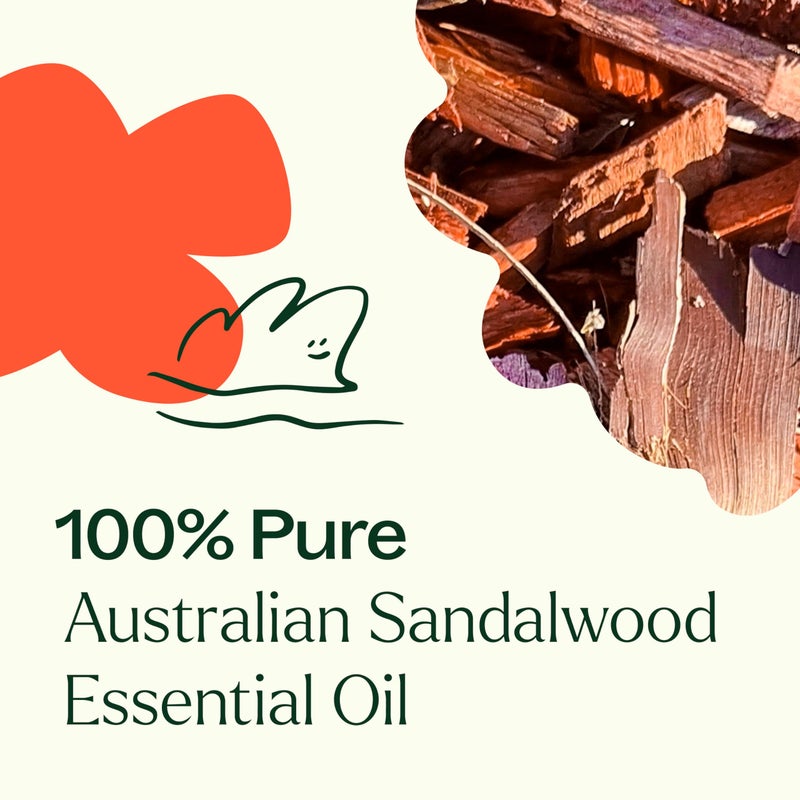 Plant Therapy Australian Sandalwood Essential Oil 100% Pure, Undiluted, Natural Aromatherapy for Diffusion and Body Care, Therapeutic Grade 5 mL (1/6 oz) - Image 5