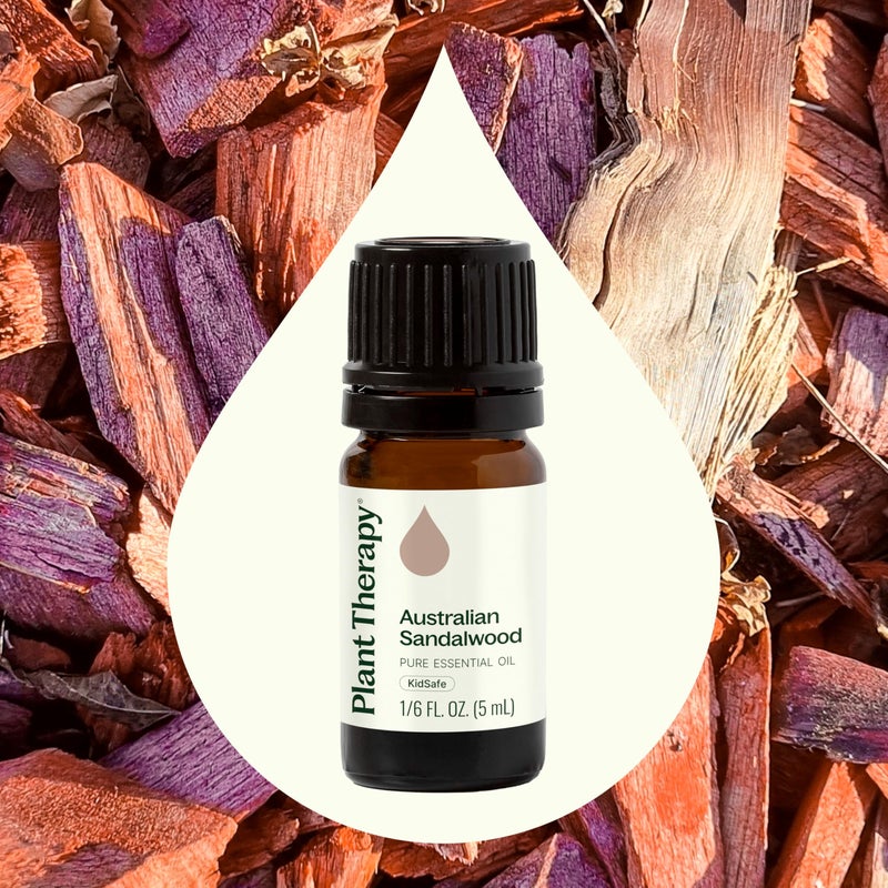 Plant Therapy Australian Sandalwood Essential Oil 100% Pure, Undiluted, Natural Aromatherapy for Diffusion and Body Care, Therapeutic Grade 5 mL (1/6 oz) - Image 3
