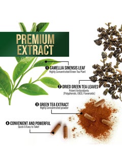 Nature's Nutrition Green Tea Extract Capsules 1000mg 98% Standardized EGCG - 3X Strength for Natural Energy - Heart Support with Polyphenols - Gentle Caffeine - 240 Capsules  - Image 5