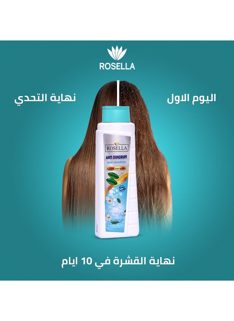 Anti Dandruff Hair Shampoo - 650 ML