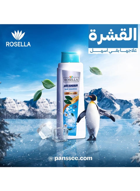 Anti Dandruff Hair Shampoo - 650 ML