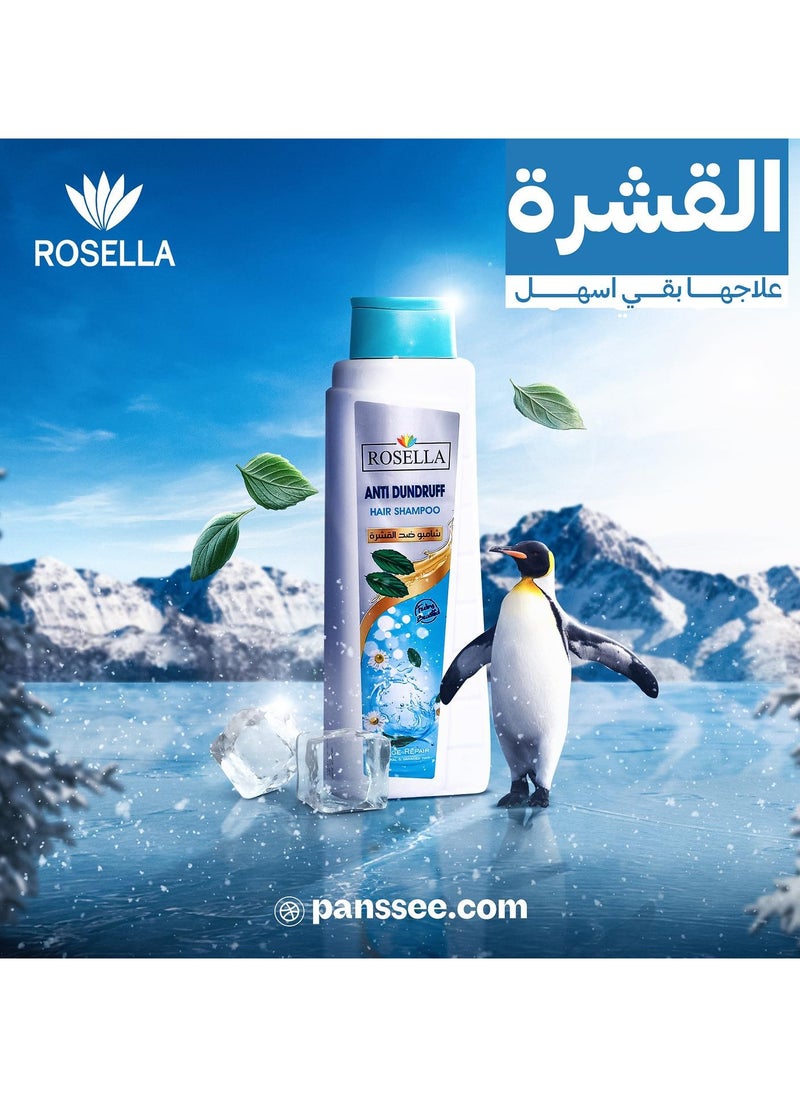 Anti Dandruff Hair Shampoo - 650 ML