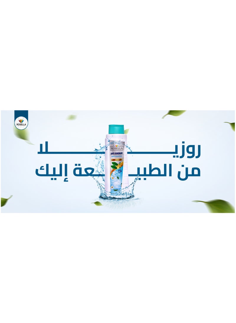 Anti Dandruff Hair Shampoo - 650 ML