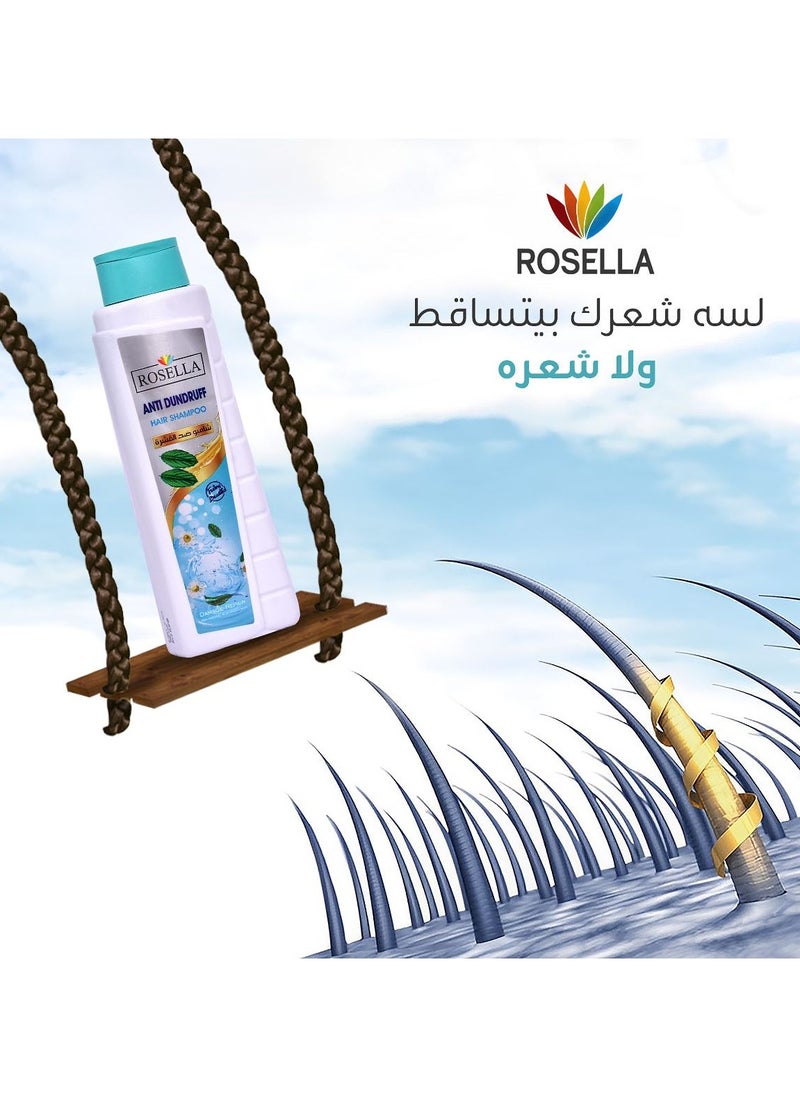 Anti Dandruff Hair Shampoo - 650 ML